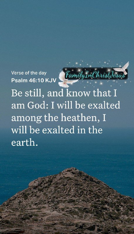 ***🕊******🙏🏽******🕊***