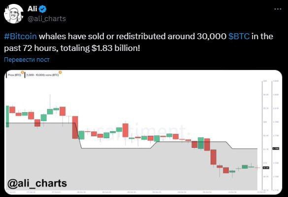 Киты [продали](https://x.com/ali_charts/status/1844317931523670336) за последние 3 дня …