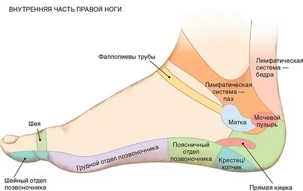 Итак, снова осень и снова я …