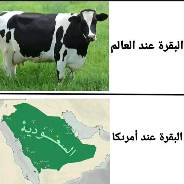 حقائق تاريخية ههههههههههههههههههههه