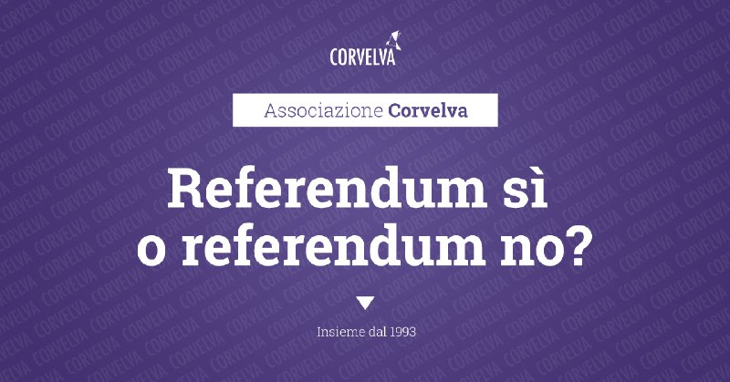 REFERENDUM SÌ O REFERENDUM NO?