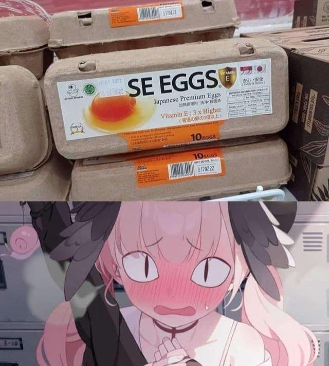 [#meme](?q=%23meme) Seggs Seggs Seggs