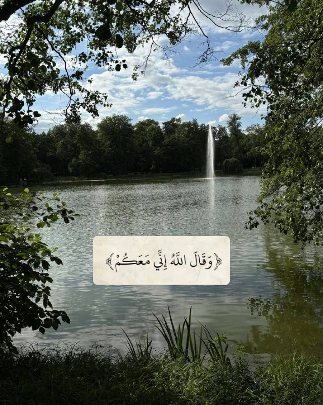 ليطمئن قلبك