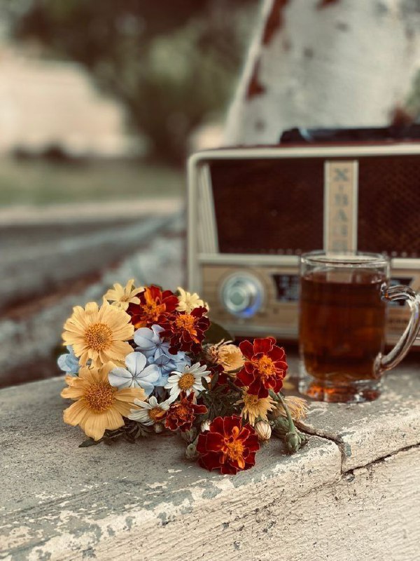 **سه راه حل برای هر مشکلى …