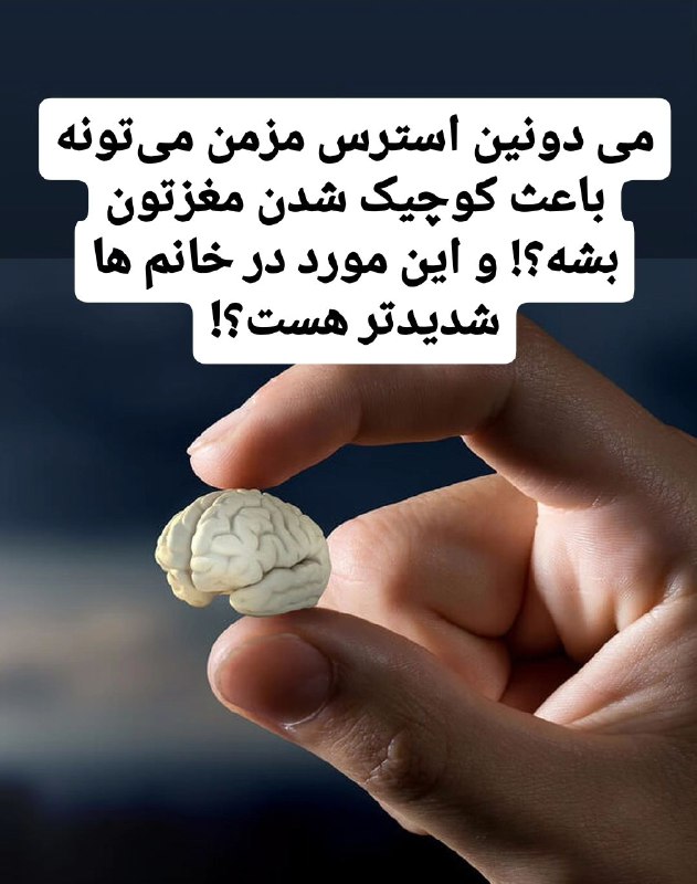 ***🧠*** نوروسافاری