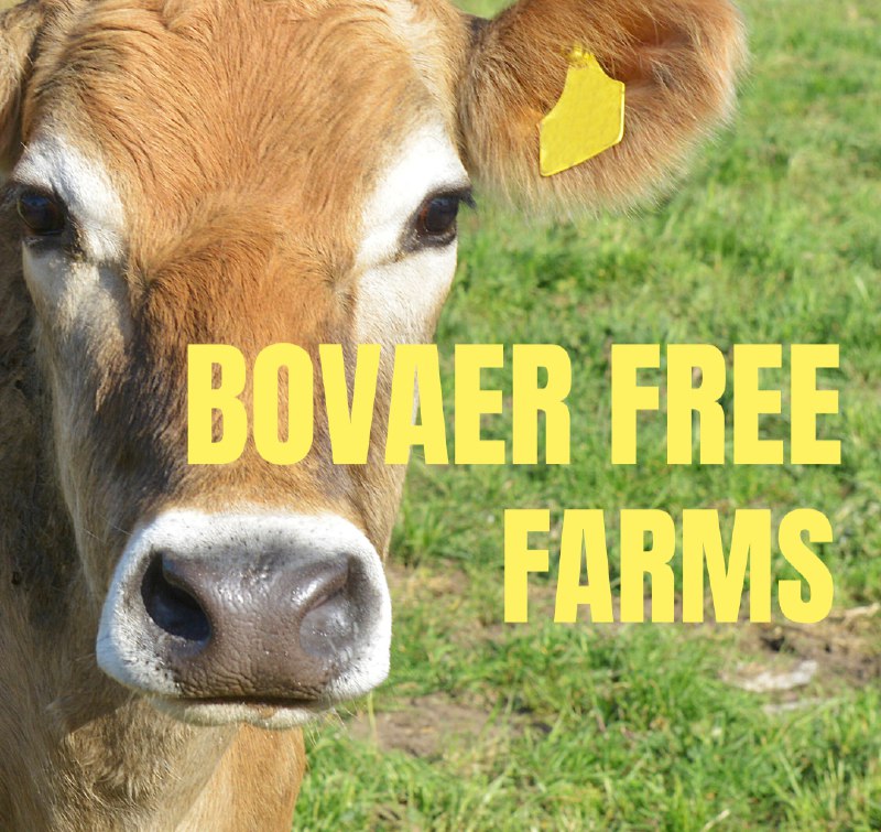 Bovaer free farms website with map: