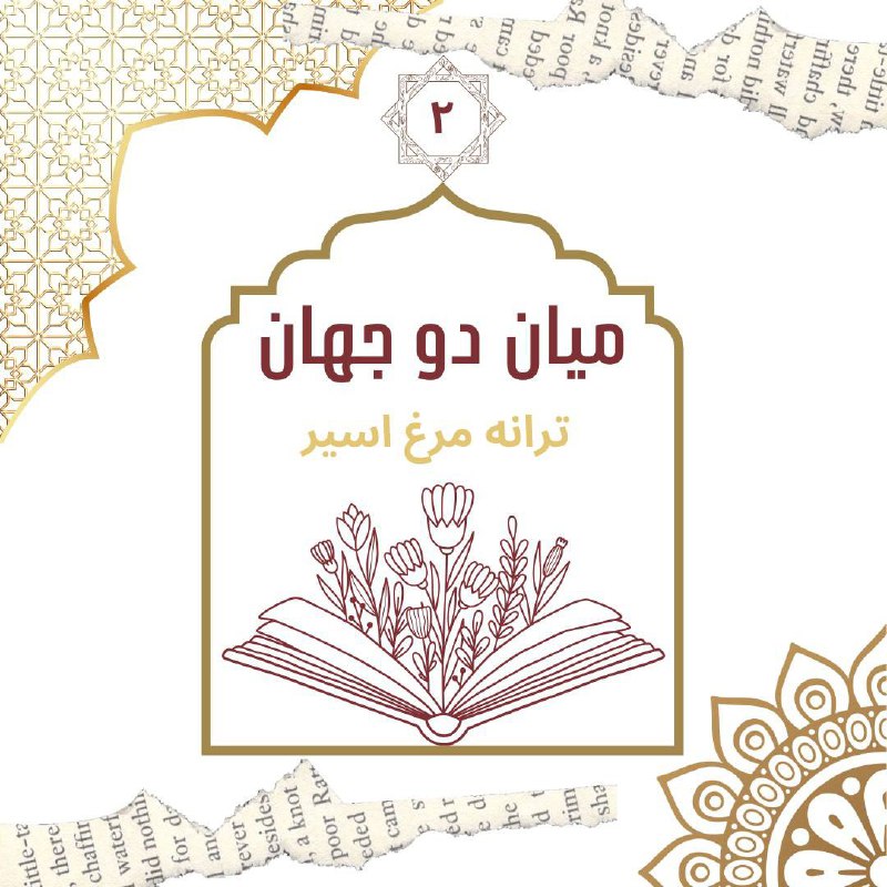 در دنیای امروز، بسیاری از نویسندگان …