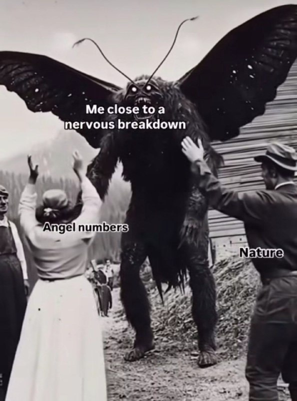 ***🖤******🤍******🖤***
