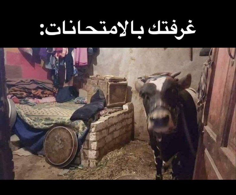 ??مگادية باب المعظم