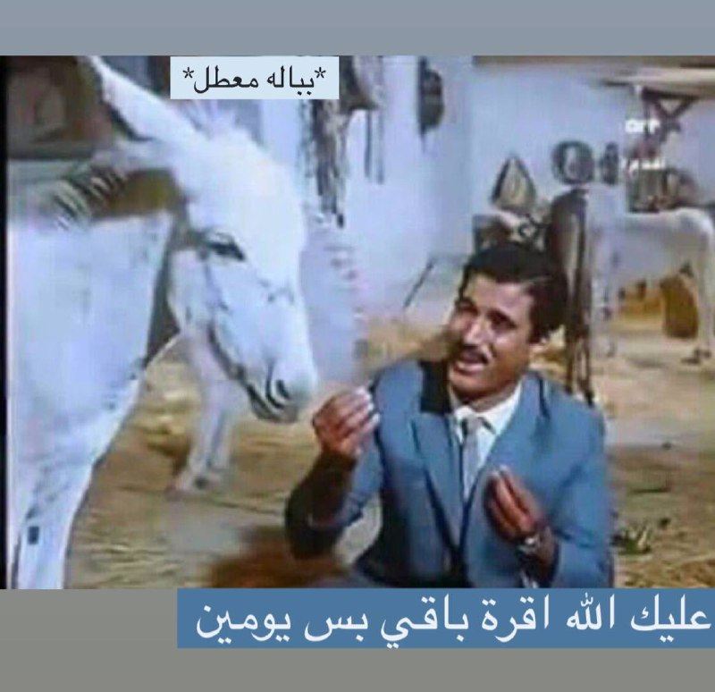 ??مگادية باب المعظم