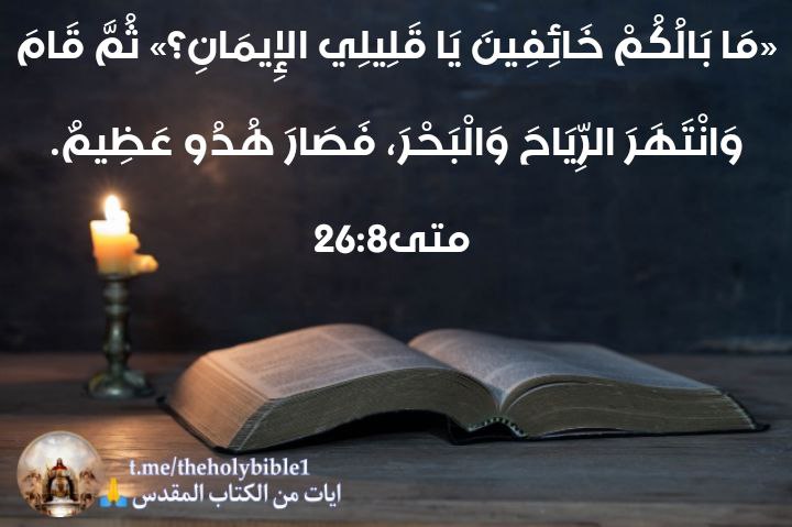 «مَا بَالُكُمْ خَائِفِينَ يَا قَلِيلِي الإِيمَانِ؟» …