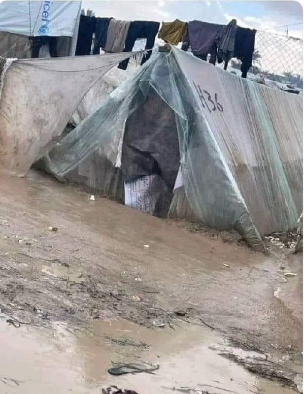 ‏اشتدَّ البردُ يا الله