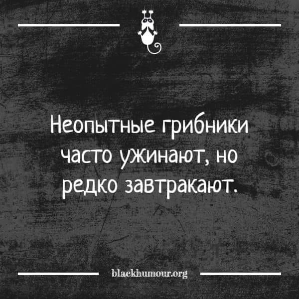 ***🦌***[Бывший прислал](https://t.me/thememasus) — подпишись, тут весело!