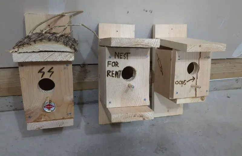 2 birdhouses and one bird traphouse! …