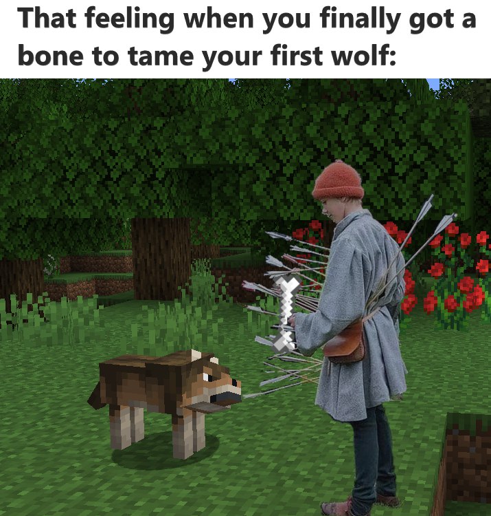 •• ***🏹***