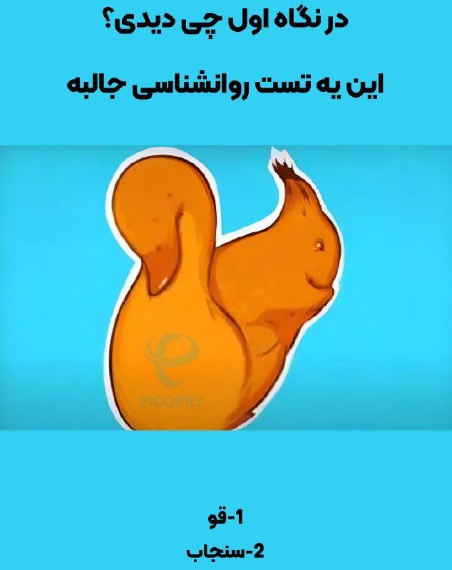 در نگاه اول چی دیدی؟