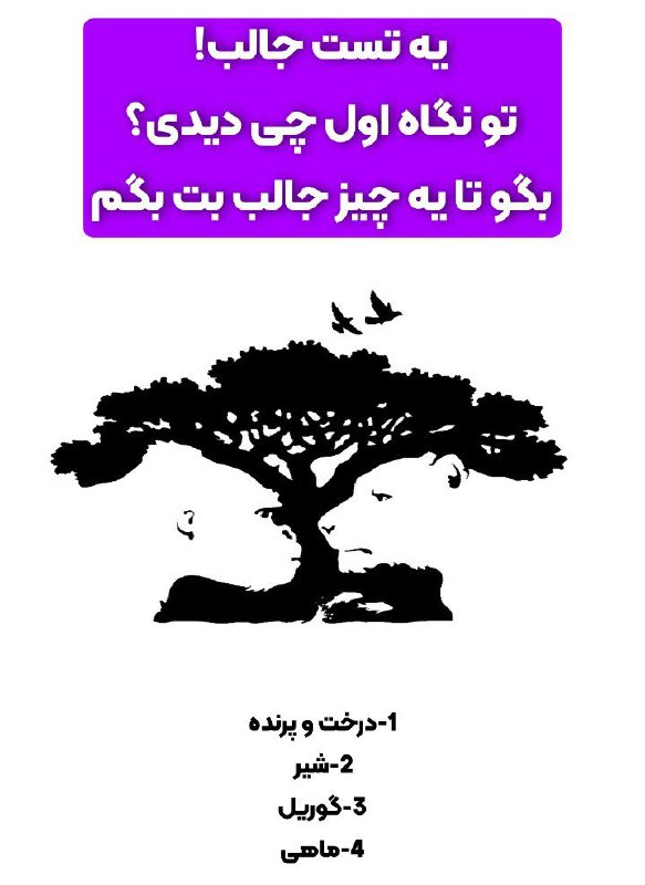 در نگاه اول چی دیدی؟