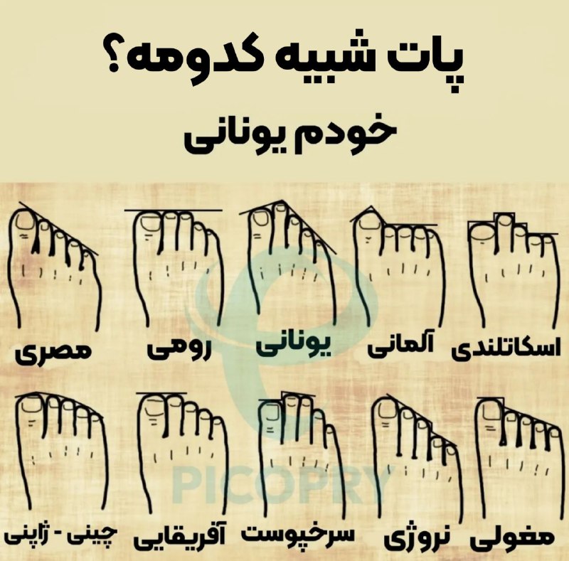 اگر به این نوع تست‌ها علاقمندید …