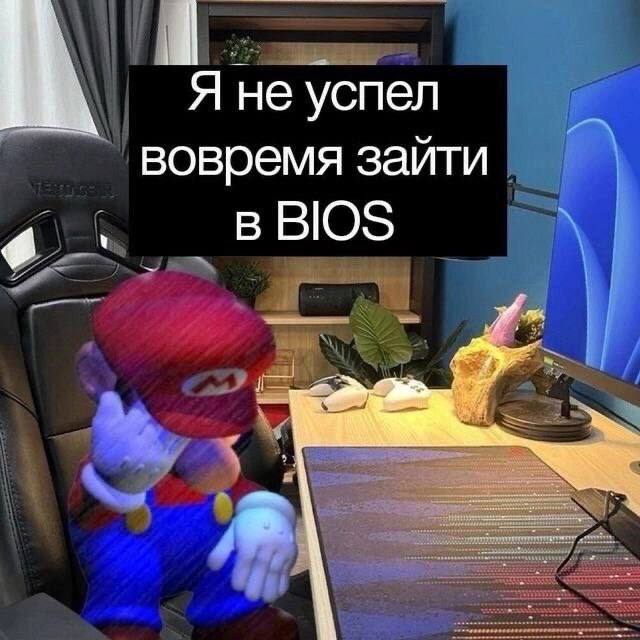 зпт/тчк