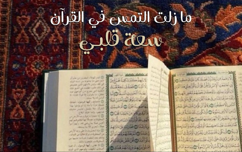 «ما زلت التمس في القرآن .. …