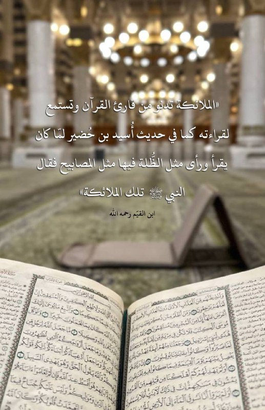 **قال ابن القيّم -رحمه الله-: