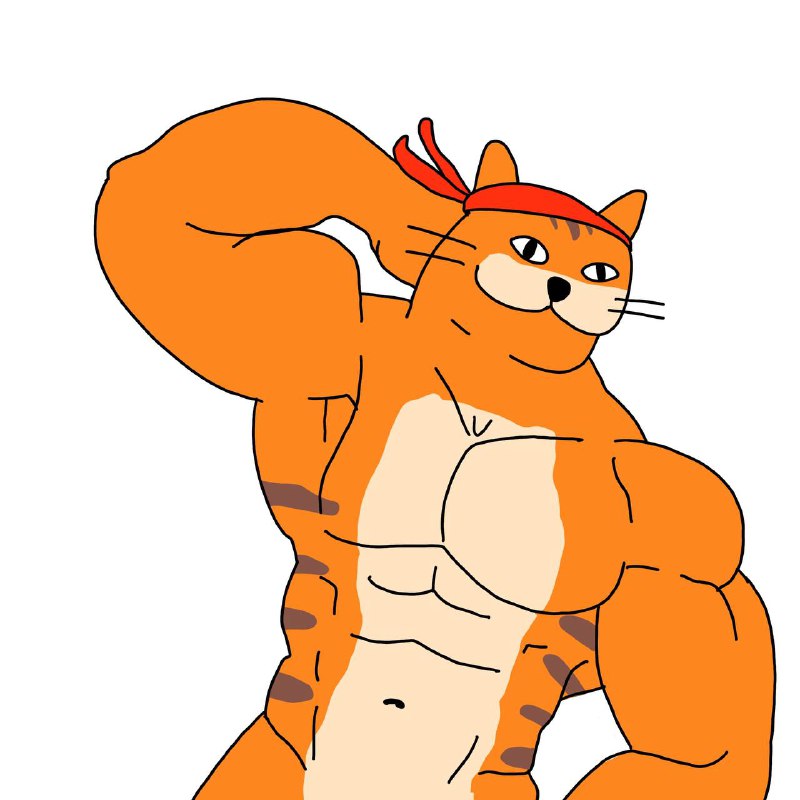$ROOR | The Rooring Kitty is …