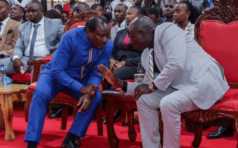 Riggy G, Kalonzo plot Ruto political …