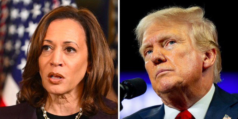 Historian’s Shocking Prediction: Trump or Harris? …