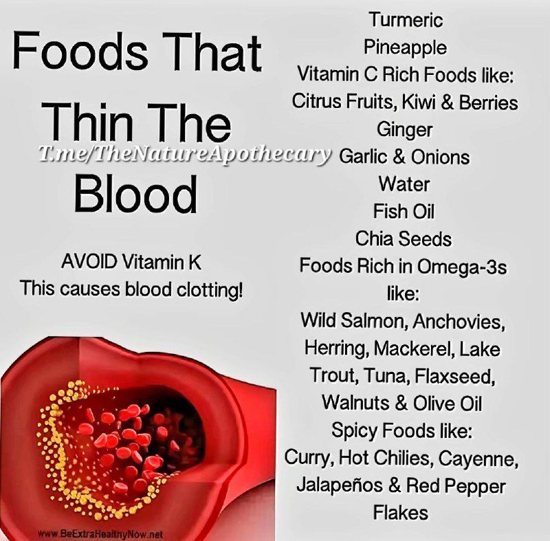 Foods that thin the blood