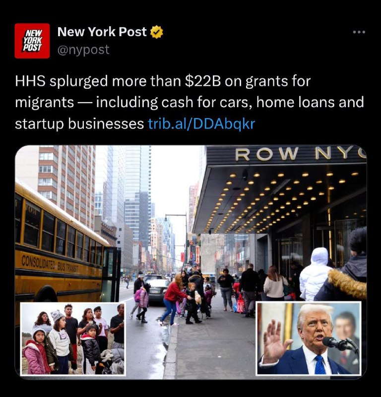 The War on Whites