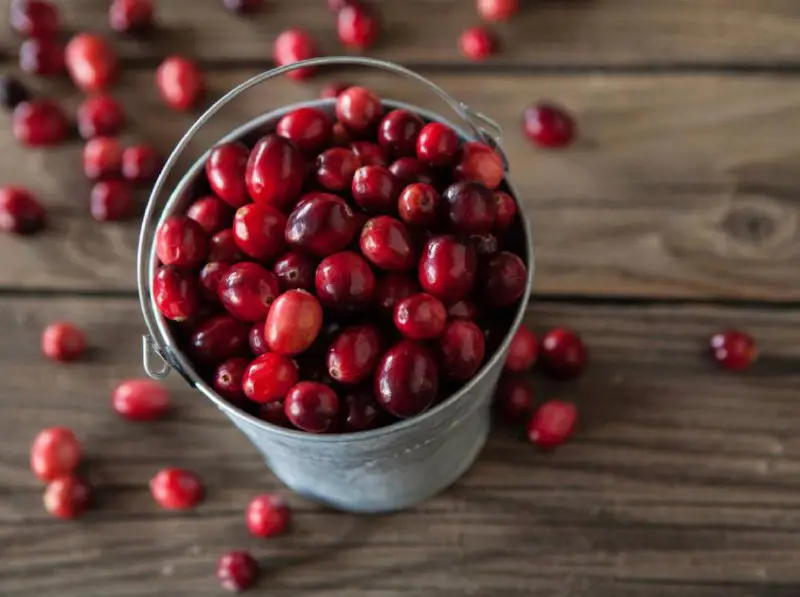 Cranberries