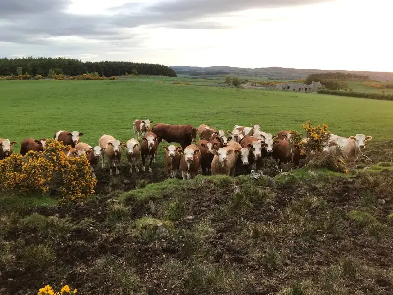 Aberdeenshire, Scotland