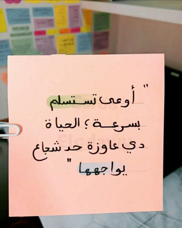 تحفيزات - اقتباسات - نصائح يومية