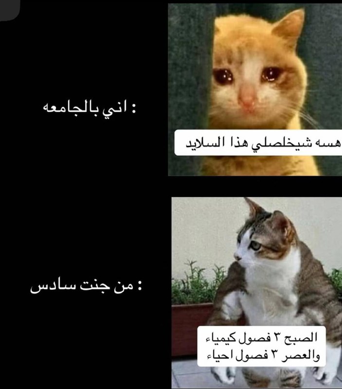 اشياء ماعرف وين أنشرها 2.0