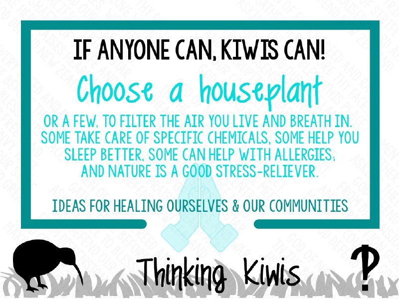 [#Actions](?q=%23Actions) [#KiwisCan](?q=%23KiwisCan)