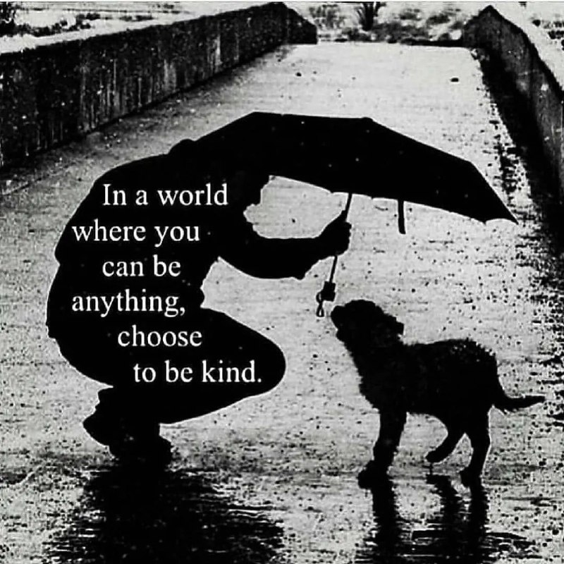 be kind…