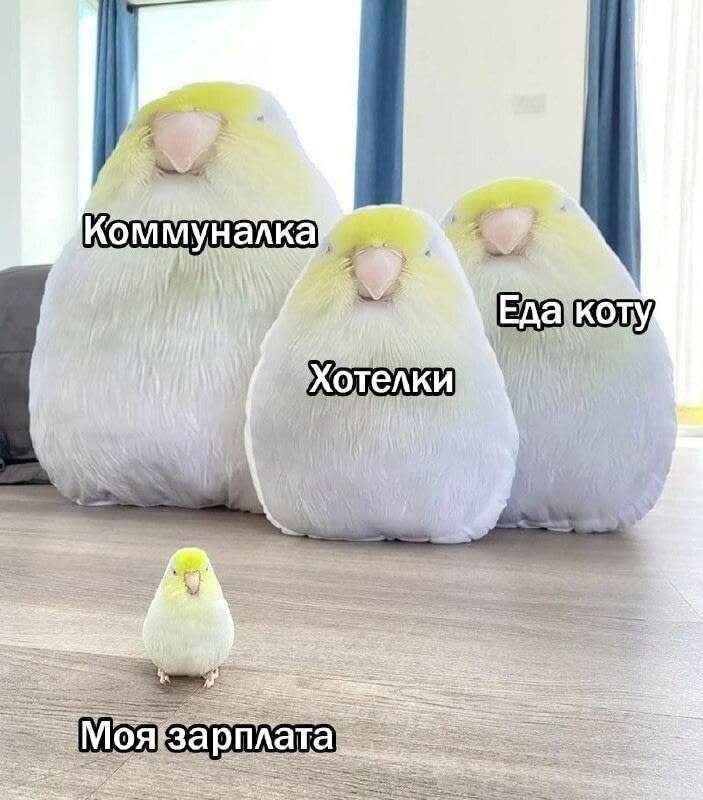 Доброе утро, Алтай ***✨***