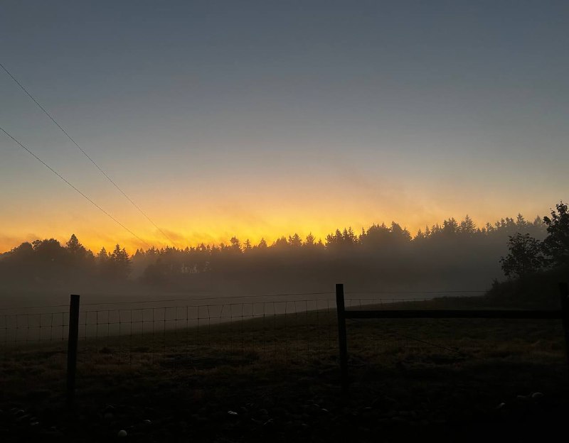 Morning up on Thor’s Hill.