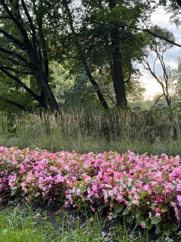 Ti_nature прогулки и туры с натуралистом🌿🦋🦔🐾🦌