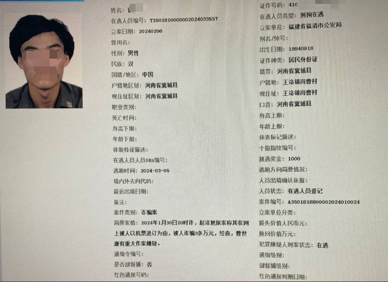 网逃全天在线秒，有单来报！