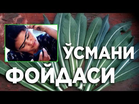 **Ўсмани фақат қошга суртади деб ким …