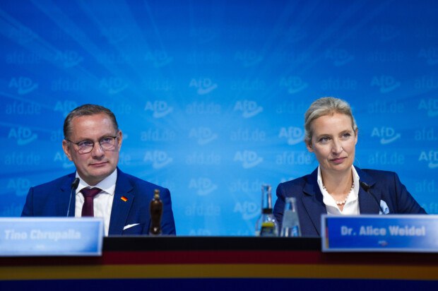 Alice Weidel trennt sich von der …