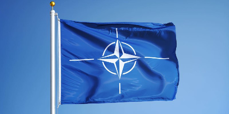 [**Tirocini NATO: stage retribuiti 1.200 Euro, come candidarsi**](https://www.ticonsiglio.com/tirocini-nato-stage-retribuiti/)