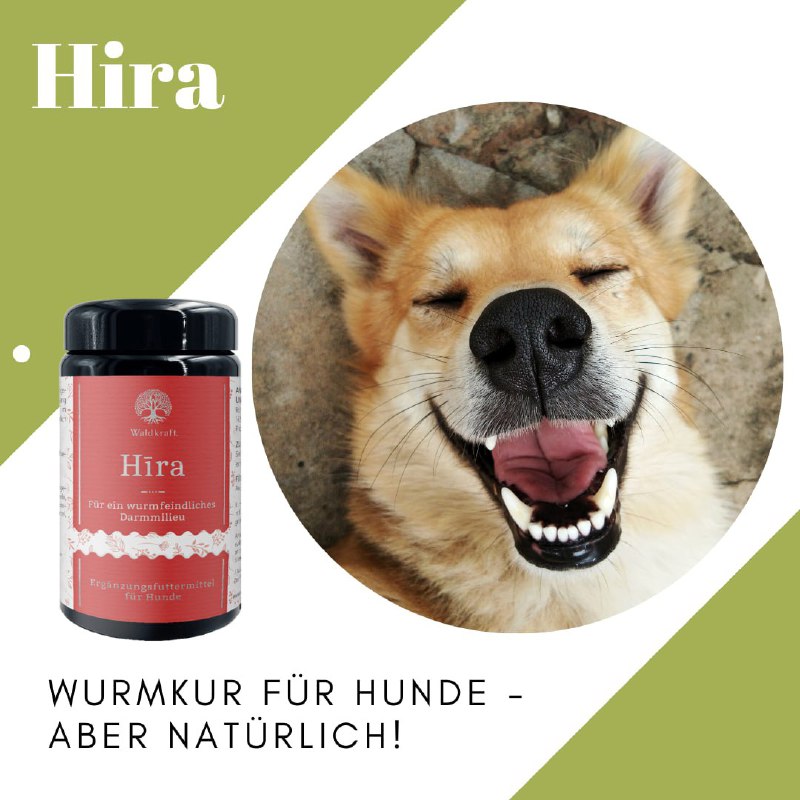 ***Wurmkur für Hunde - aber natürlich!***