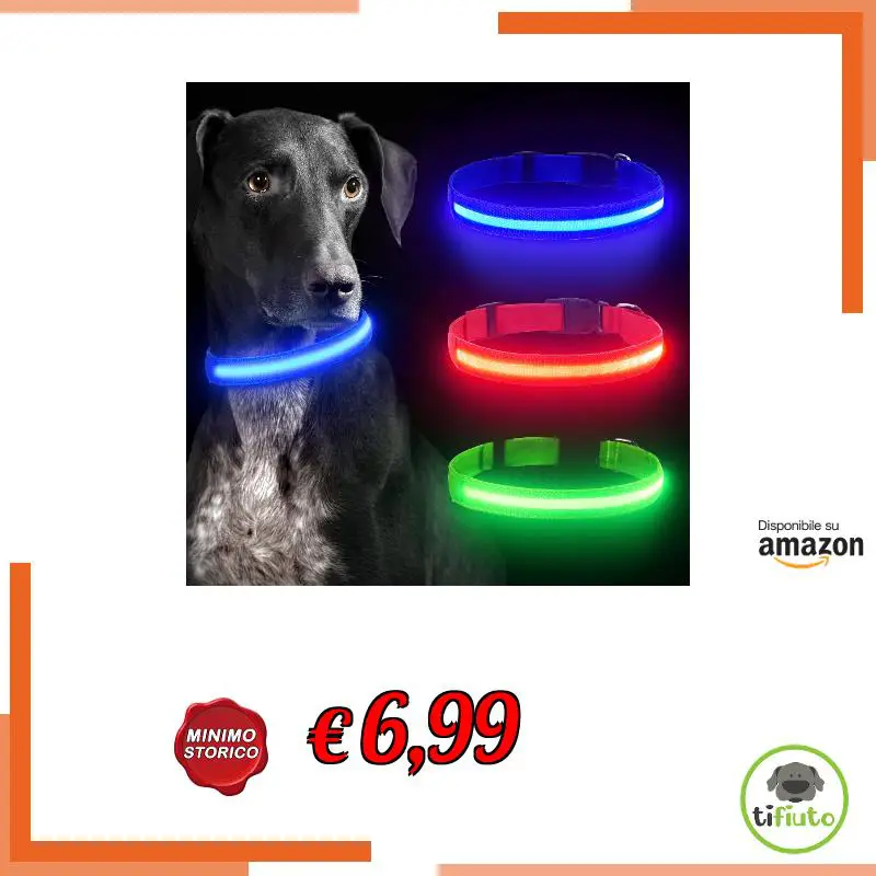 **Collare Luminoso per Cani, Collare di Cane LED Ricaricabile e Impermeabile**