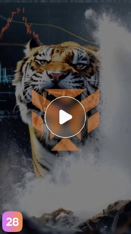 Tiger.com Новости