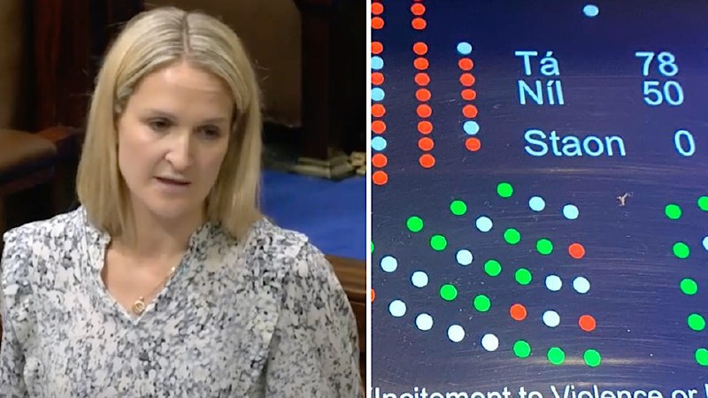 The Dáil has passed the Hate …