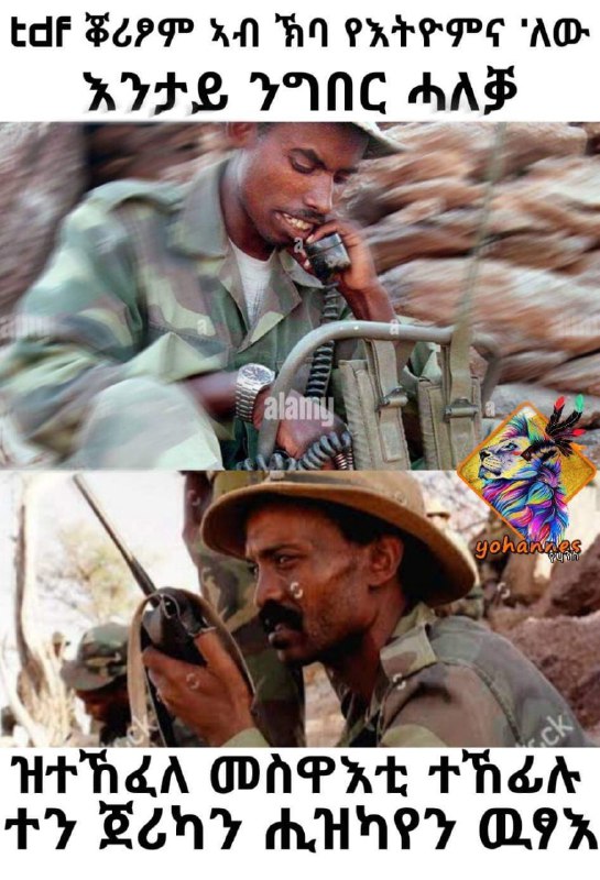 ትግርኛ Meme