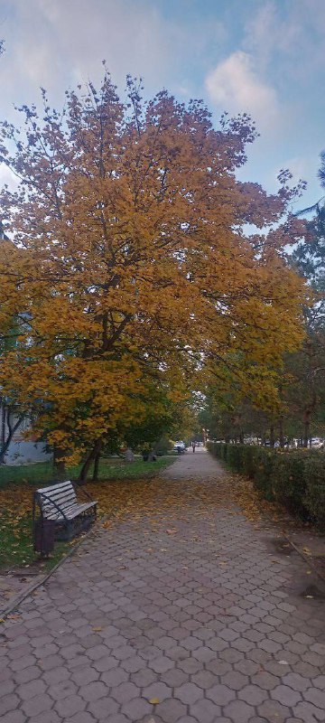 Погода на сегодня ***🌥️***