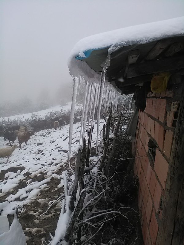 تیلک دیار فرزانگان